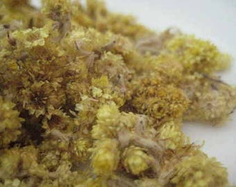 Everlasting Flower - Helichrysum arenarium - 50 grams