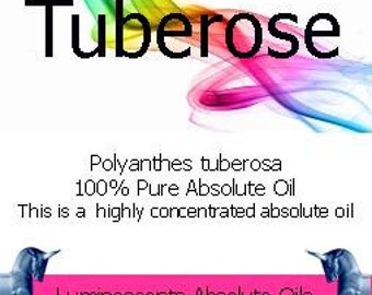 Tuberose Absolute Oil - Polyanthes tuberosa