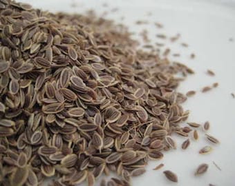 Dill Seed -  Anethum graveolens - 100 grams