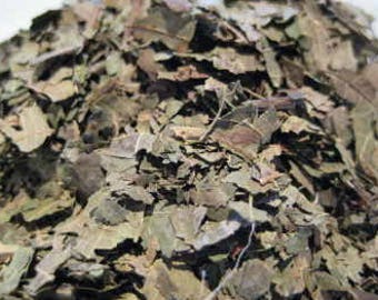 Gingko Biloba Cut or Powdered Herb Yin Xing Heebal Tea