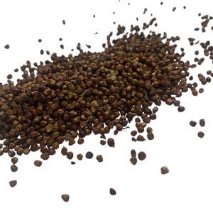 Grains of Paradise Pepper – Afromomum meleguetta - Spices - 50 grams  or 100 grams