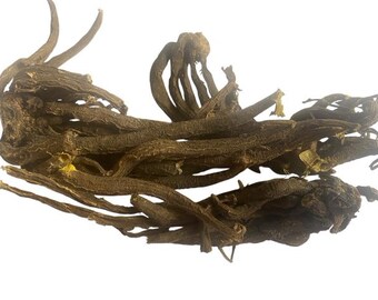 White Himalayan Lily Root (Cut) – Ksheer Kakoli Root -Lilium polyphyllum 50 grams