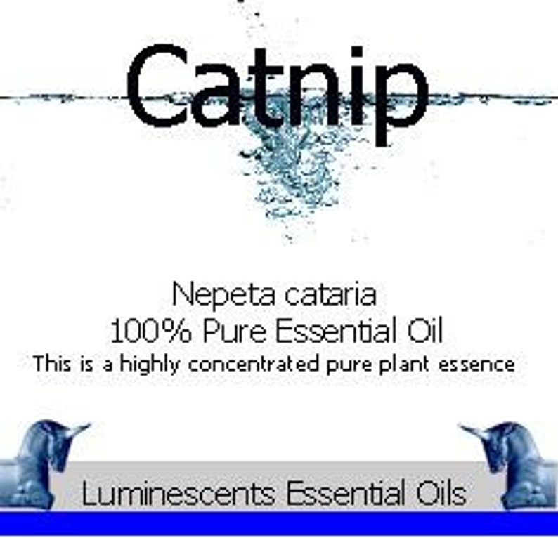 Catnip Essential Oil Nepeta cataria-100% Pure 5ml image 2