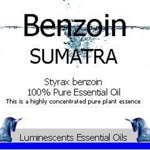 Benzoe Sumatra Ätherisches Öl Styrax Benzoin 100% Pure 10ml Bild 2