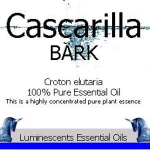 Cascarilla Bark Essential Oil Croton eluteria 100% Pure 5ml or 10ml image 2