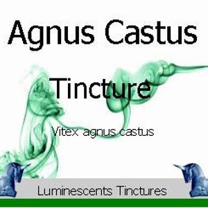 Agnus Castus Tincture - Agnus Castus Vitex - Chaste Berry - 50ml