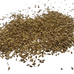 Dill Seed -  Anethum graveolens- 50 grams - Culinary Herb