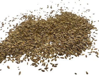 Dill Seed -  Anethum graveolens- 50 grams - Culinary Herb