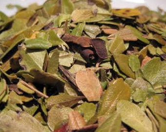 Uva Ursi Leaf Cut Leaf or Fine Powder Arctostaphylos uva ursi Herbal Tea 100 grams