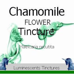 German Chamomile Flower Tincture - Matricaria recutita - 50ml