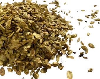 Angelica Seed Tea (Dried) (Angelica archangelica) - 50 grams
