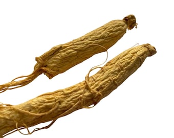 Asian Ginseng (Whole Dried Root) - Panax ginseng - 25 grams