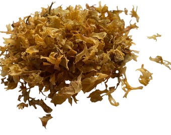 Carragheen Irish Moss Cut  -Chondrus crispus Stackhouse - 50 or 100 grams