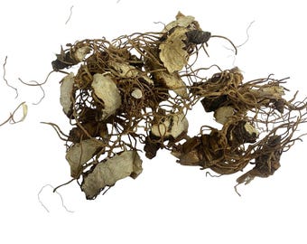 White Beth Whole Root - Trillium erectum- 25 grams Wildcrafted herb tea