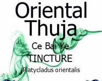 Oriental Thuja Leaf Tincture – Platycladus orientalis – Ce Bai Ye - 50ml