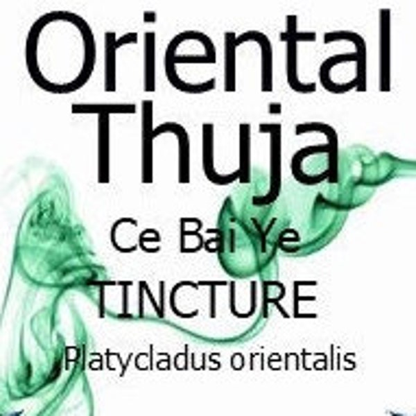 Oriental Thuja Leaf Tincture – Platycladus orientalis – Ce Bai Ye - 50ml