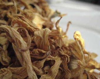 Sunflower Petals - Helianthus annuus - 50 grams - Herbal Tea - Pot Pourri