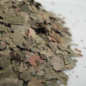 Neem Leaf (Cut) - Azadirachta indica - 100 grams