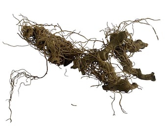 Blue Cohosh Whole Root – Caulophylum thalictroides - 50 grams - loose dried root herbs
