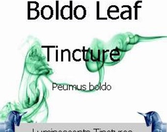 Boldo Leaf Tincture - Peumus boldo - 50ml