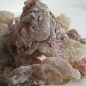 Frankincense Black Hojari Resin – Boswellia sacra