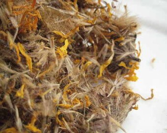 Arnica Flowers - Arnica montana - 50 grams