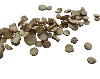 White Peony Root - Bai Shao Yao - Paeonia lactiflora - 50 grams - herbal tea