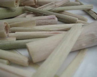 Lemongrass Stalks - Cymbopogon flexuosus - 25 grams