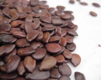 He Huan Zhi (Non Viable Whole Seed) - Silk Tree - Albizia julibrissin - 50 grams