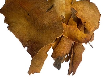 Chinese Sarsaparilla Root (Cut) – Smilax glabra - 50 grams - Tea