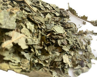 Black Mulberry Leaf Herb Morus nigra  100 grams Tea