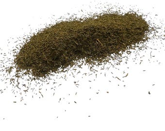 Dill Weed -  Anethum graveolens- 50 grams - Culinary Herb