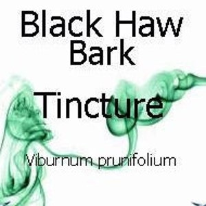 Black Haw Bark Tincture – (Viburnum prunifolium) – Sweet Haw-Stag Bush - 50ml