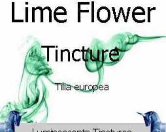 Lime Leaf and Flower Tincture - Tilia europea - 50ml