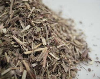 Vervain Leaf (Cut) – Verbena bonariensis - 100 grams