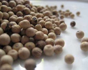 White Pepper - (Peppercorns & Fine Ground) Spices - 100 grams