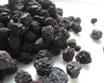 Sloe Berries - Prunus spinosa - 100 or 500 grams