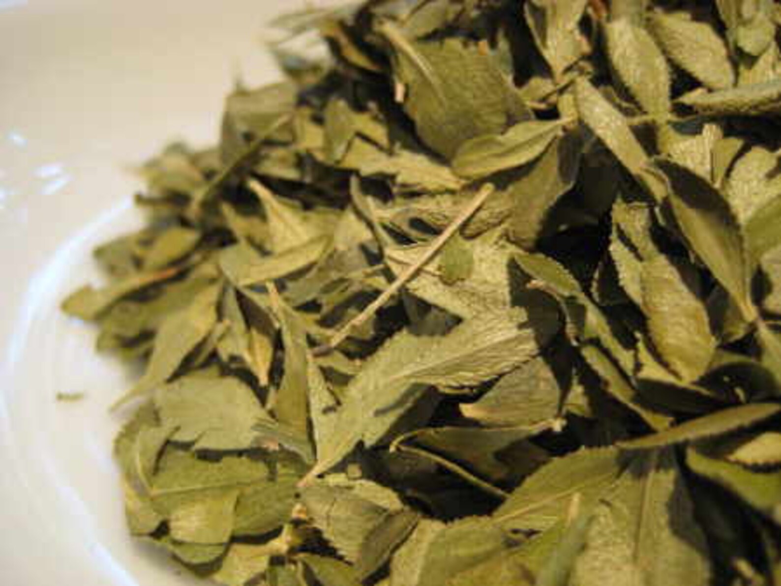 Запах листьев. Картинки аромат осени. Запах листвы осенней. Как пахнут листья лимона. Жгут лавровый лист.