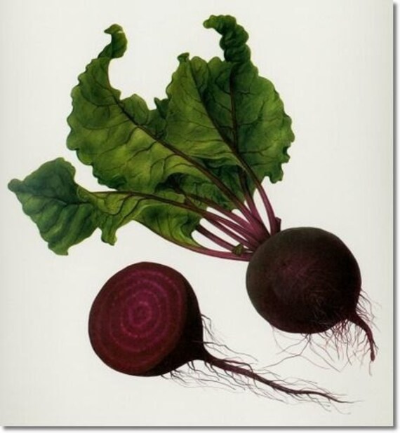 Buy Biotic Beet Root Powder (Beta Vulgaris) Beetroot Powder For Healthy Skin & Body - 100g Online At Best Prices In India - Foto 8