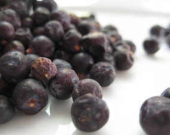 Juniper Berries - Juniperus communis - 100 grams