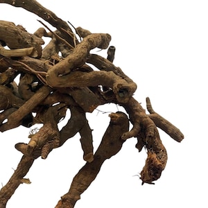 Anjbar Root (dried) – Persicaria viviparum (Alpine Bistort) - 100 grams - Tea