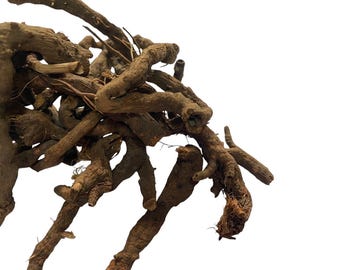 Anjbar Root (dried) – Persicaria viviparum (Alpine Bistort) - 100 grams - Tea