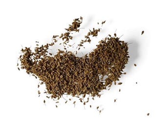 Aniseed - Whole Seed or Fine Ground Powder - Pimpinella anisum - culinary spices