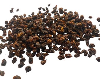 Sea Buckthorn Berries - Hippophae litangensis - 50 grams