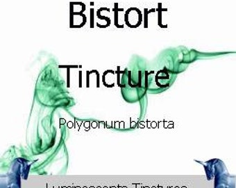 Bistort Tincture - Persicaria bistorta - 50ml