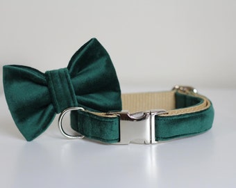 Emerald Bea Velvet Collar, Dog Accessory