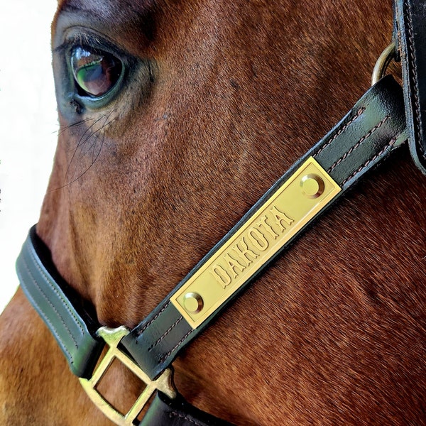 Brass Halter Nameplate, Relief-Engraved, 4"