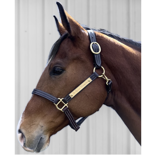 Leather Horse Halter with 4.5" Relief-Engraved Brass Nameplate