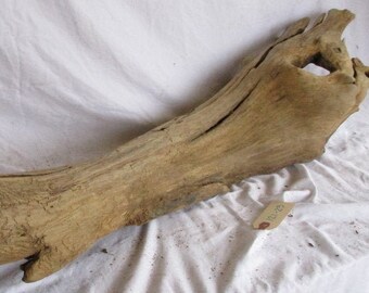 and a hole through the center good bark Funky knothole with 5 points