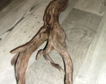 Driftwood art | Etsy